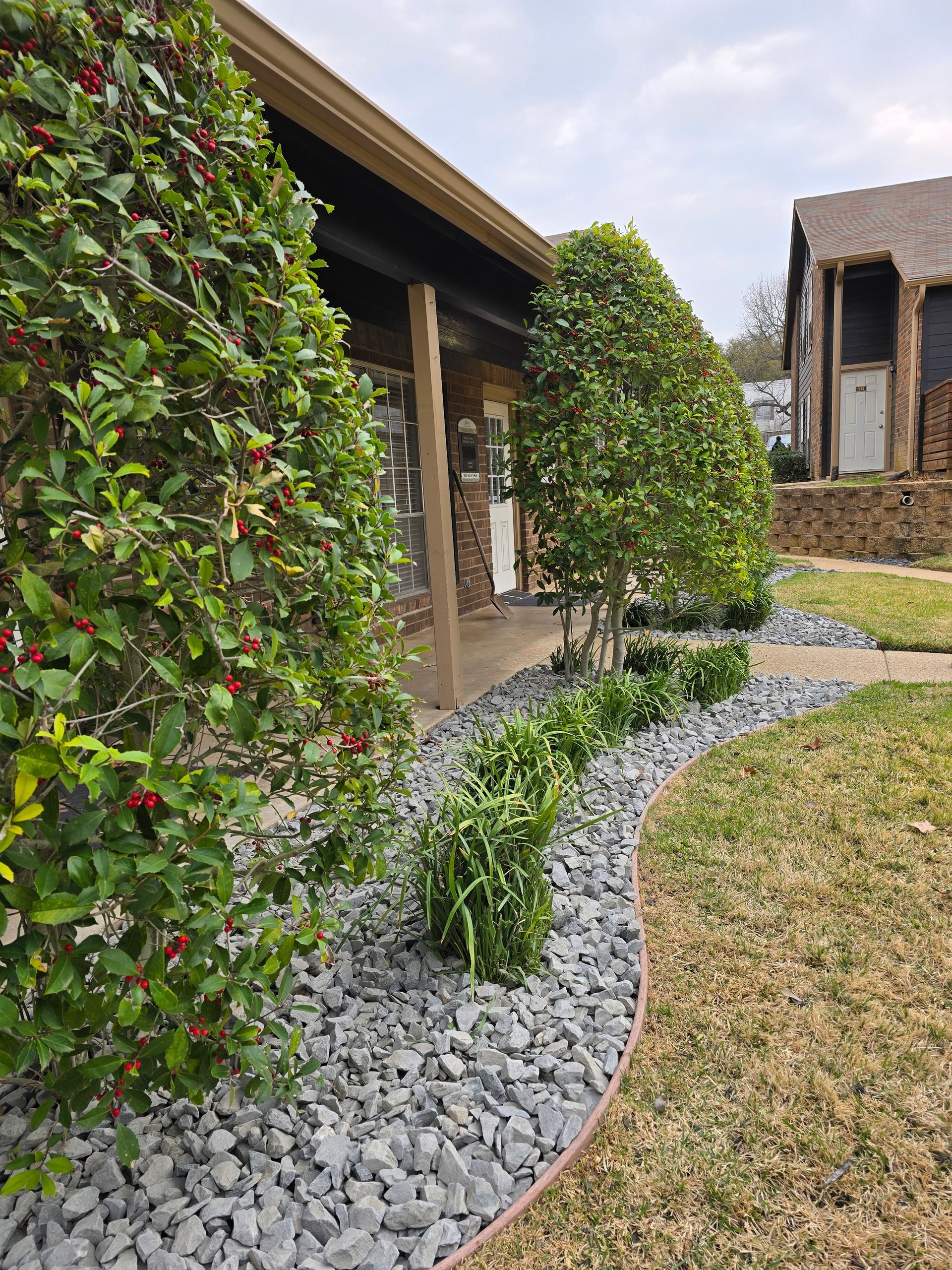 A garden bed with grey gravel, green shrubs, and a berry-laden bush lining a building walkway.