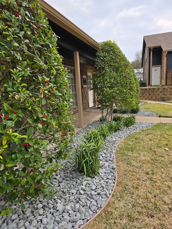 A row of manicured shrubs and ornamental grasses set against a house foundation covered with gray landscape rock.