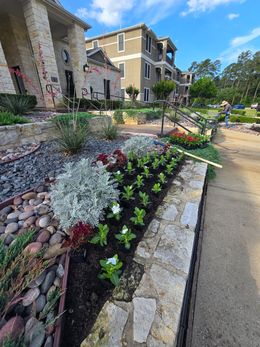 A stone-walled garden bed with green plants and white flowers in front of a house, under a sunny blue sky.
