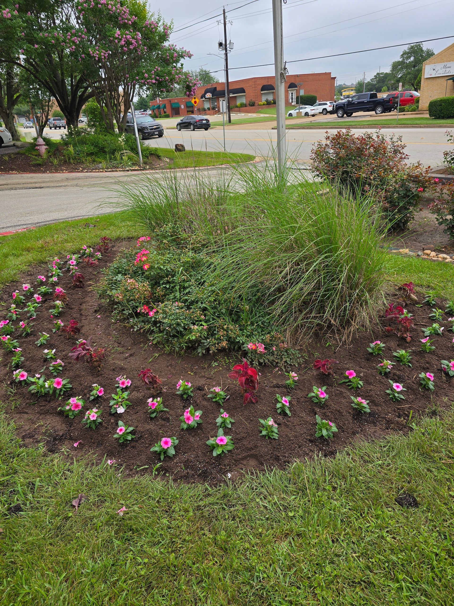 A circular garden bed with pink flowers planted in a swirl pattern, surrounding a central patch of tall, green grasses.