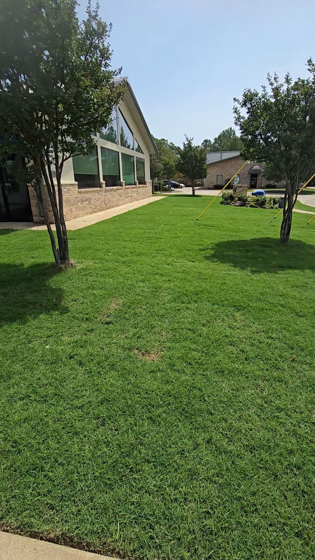A grassy lawn in front of a brick building with large windows under a clear blue sky, flanked by two small trees.