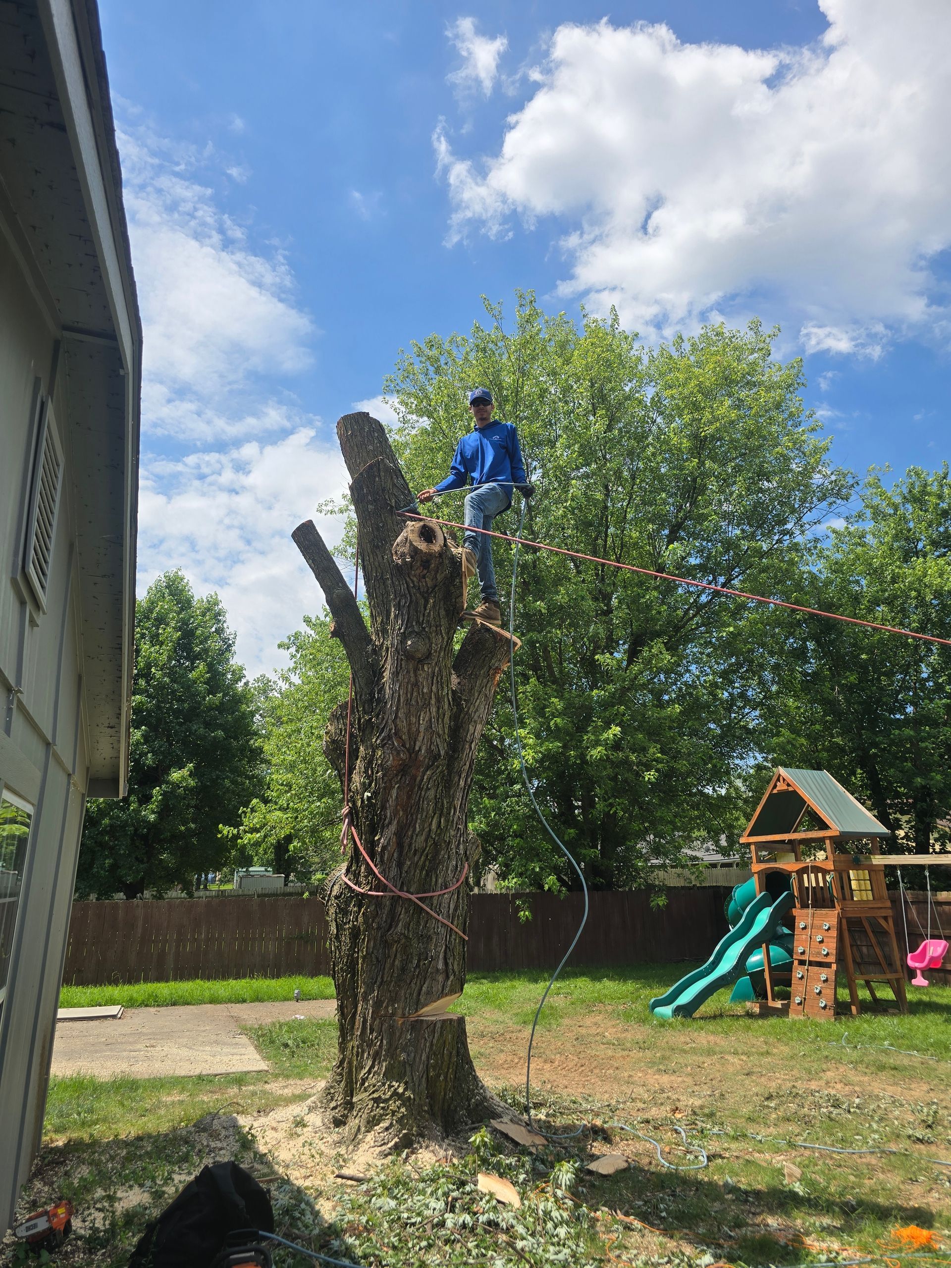 A person in a blue shirt stands atop a partially cut tree trunk in a yard near a house and children's playset.