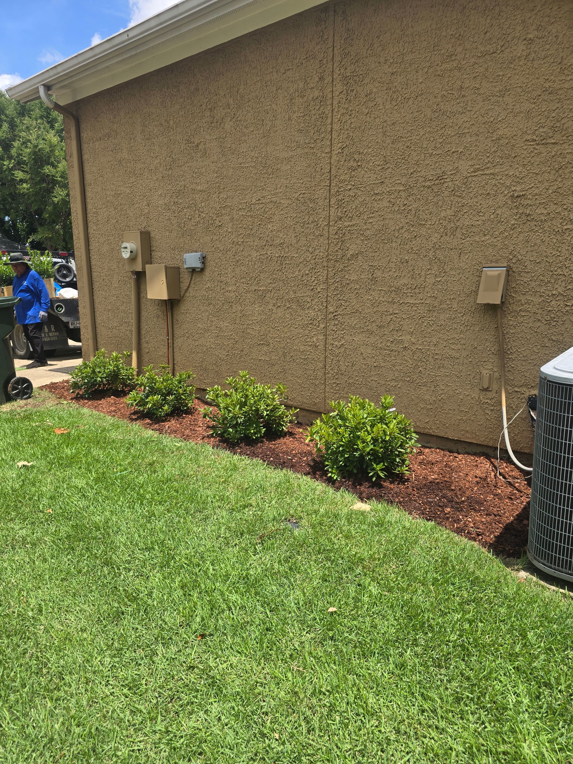 A beige stucco house exterior with four small shrubs planted in a mulched garden bed next to a green lawn.