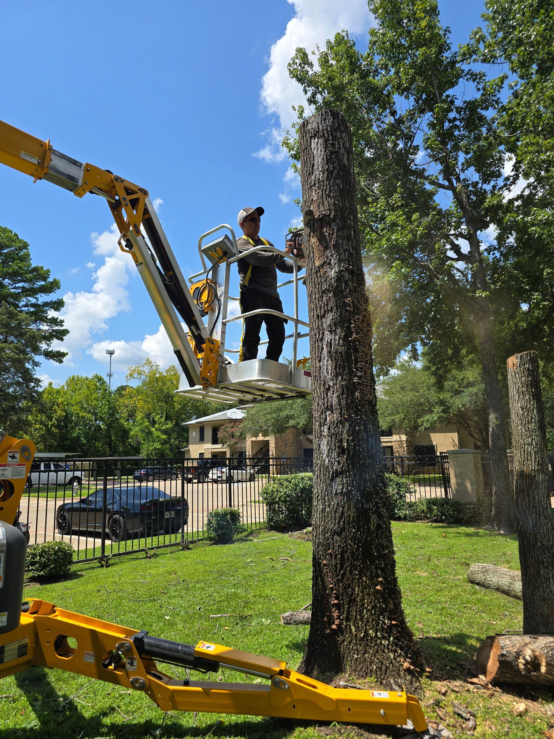 A worker in a bucket truck uses a chainsaw to cut the top of a tree in a residential yard on a sunny day.