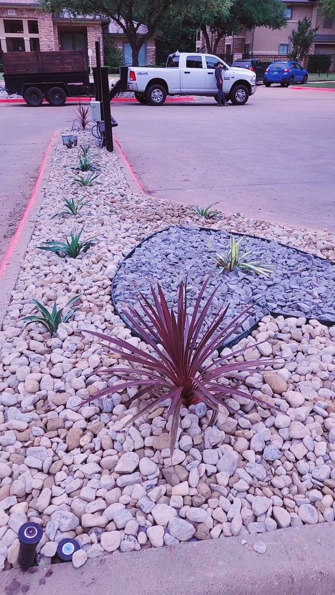 A small, landscaped garden bed with decorative rocks and various plants, bordering a paved parking lot with a truck.