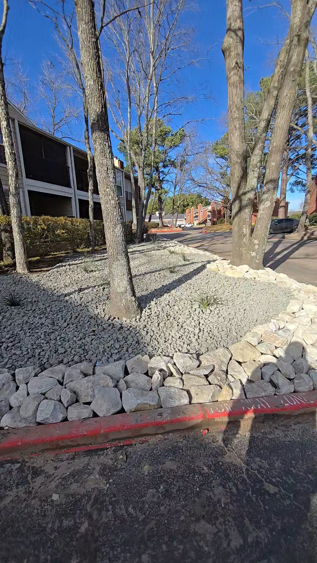 A landscape bed filled with gray rocks and trees in front of a multistory apartment building under a clear blue sky.