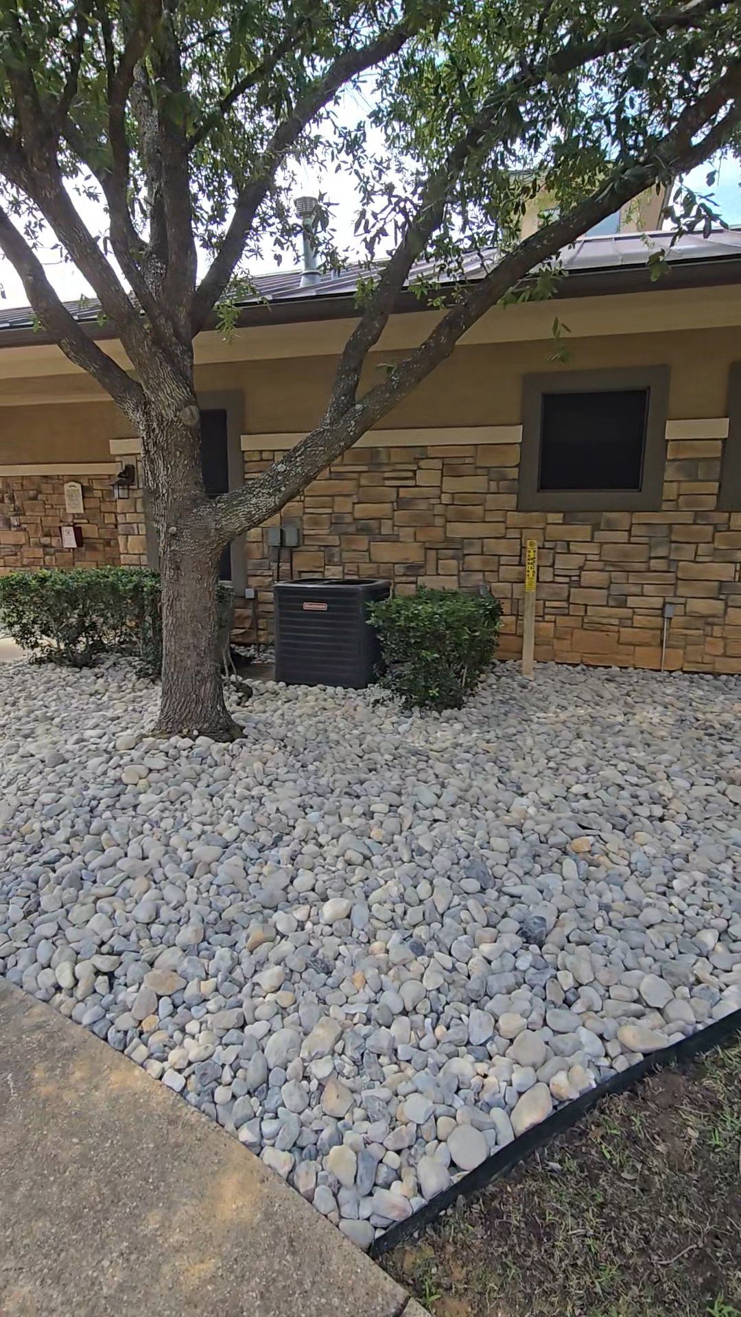 A residential yard with a stone-covered ground, a tree in the foreground, and a stone-walled house in the background.
