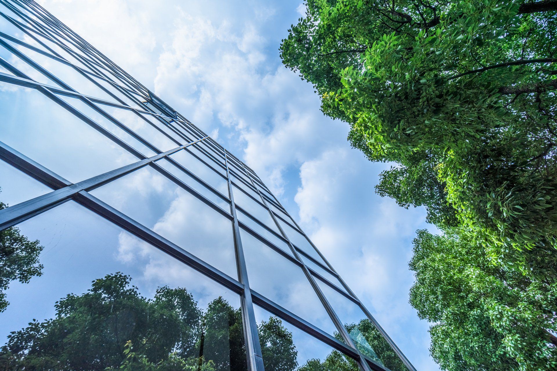 Glass office building reflecting blue sky and green trees viewed from below