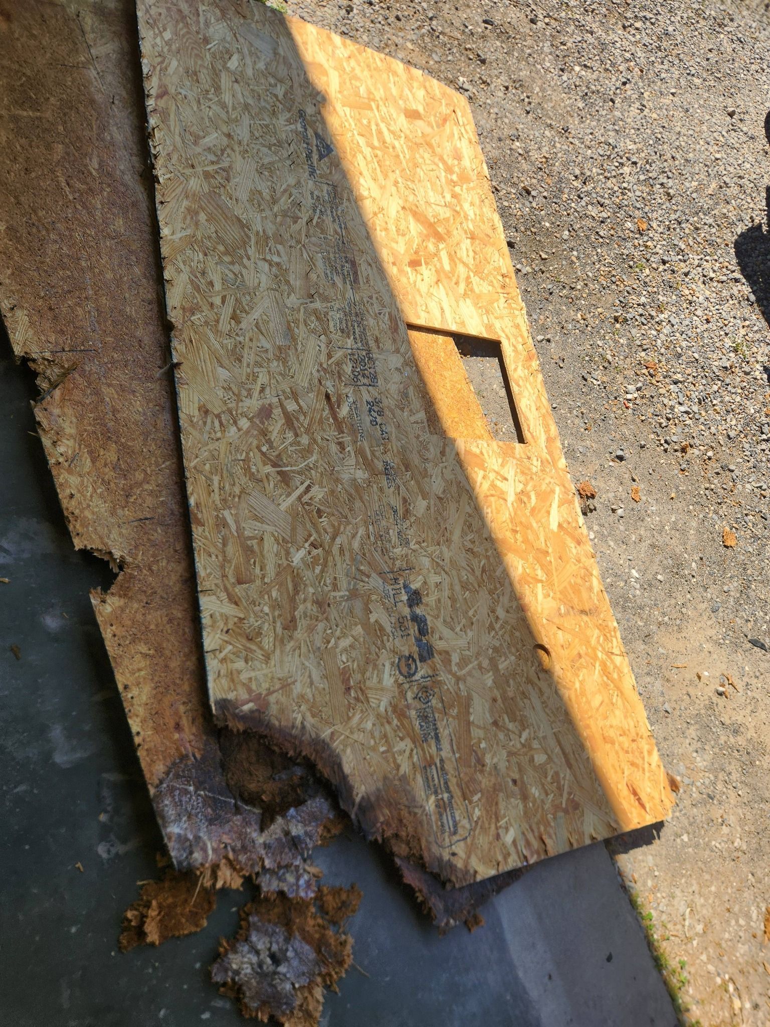Broken wooden board on asphalt, with a rectangular cutout and rough edges near a curb.