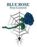 Blue Rose Pest Control logo: blue rose, spider web, black spider.