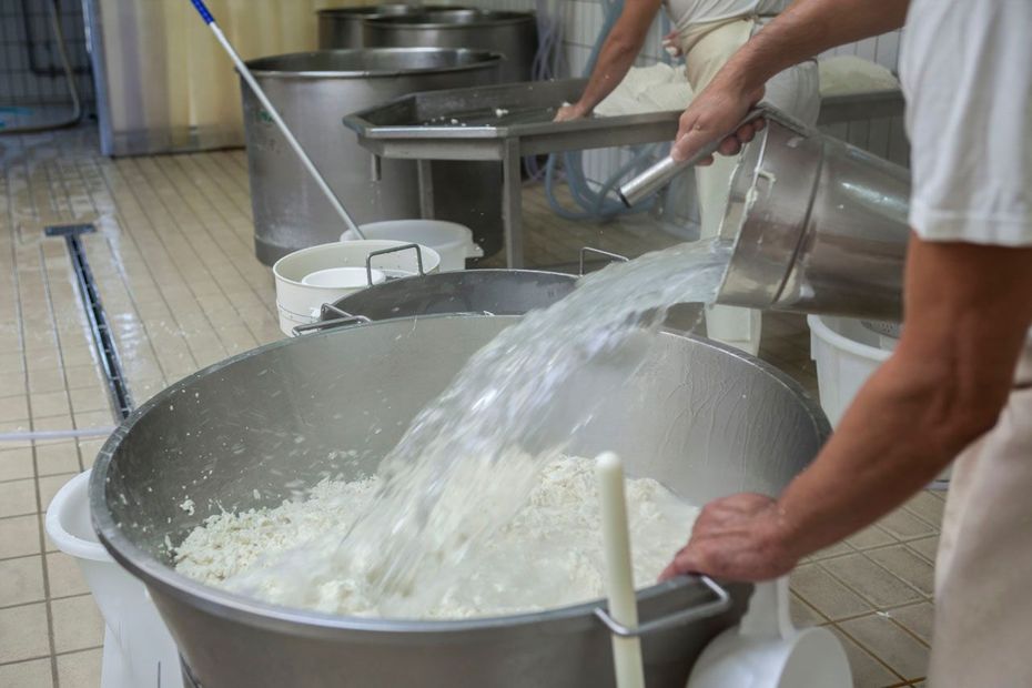 Operai che mescolano la cagliata in grandi tini di metallo in un caseificio.