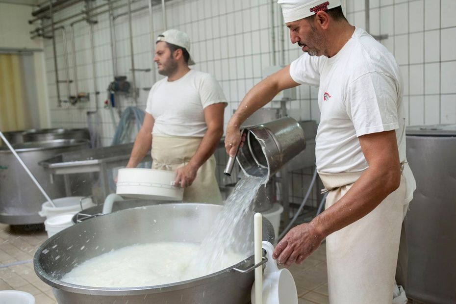 Mani guantate impastano la pasta accanto a ciotole di metallo contenenti latte sul bancone della cucina.