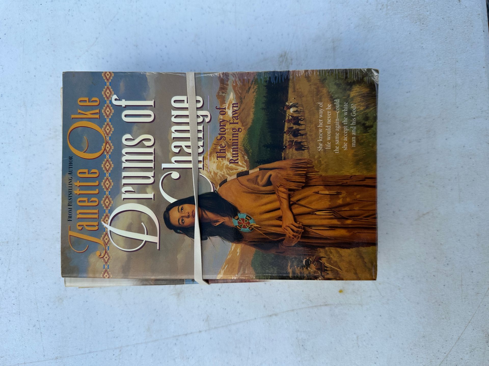 Book cover for 