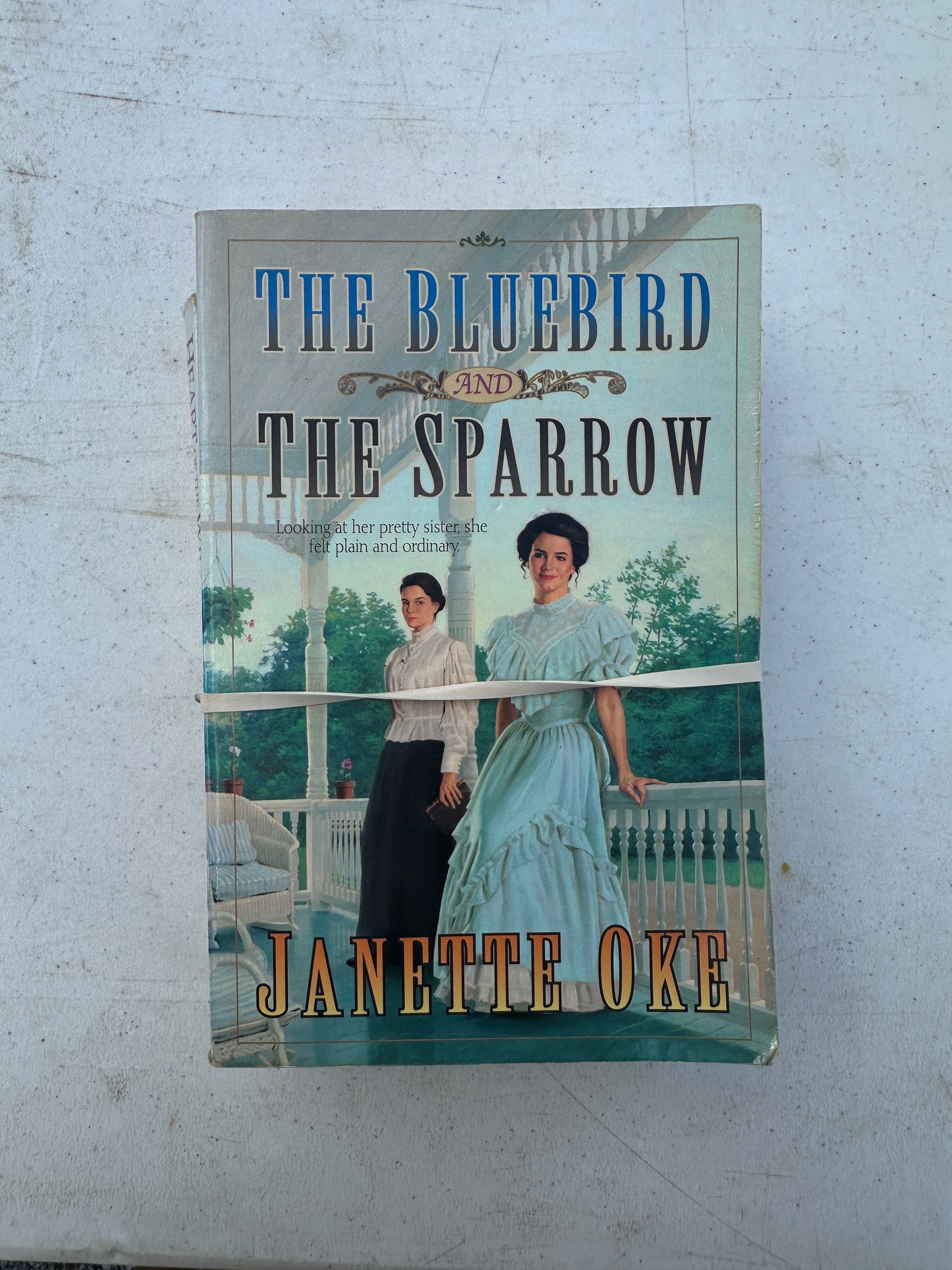 Book cover for “The Bluebird and the Sparrow” by Jan Kerner DeG…