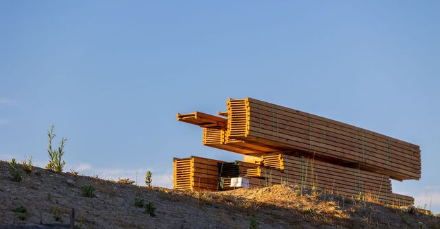 Madera apilada en una ladera cubierta de hierba al atardecer, con el cielo azul encima