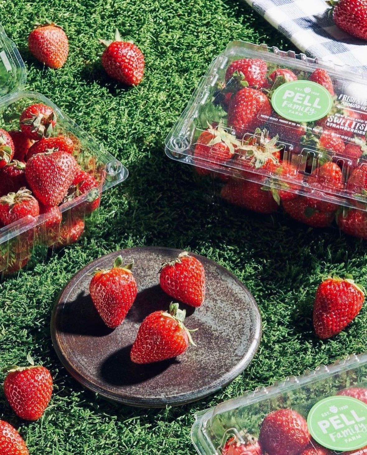 Pell Family Farm Strawberries