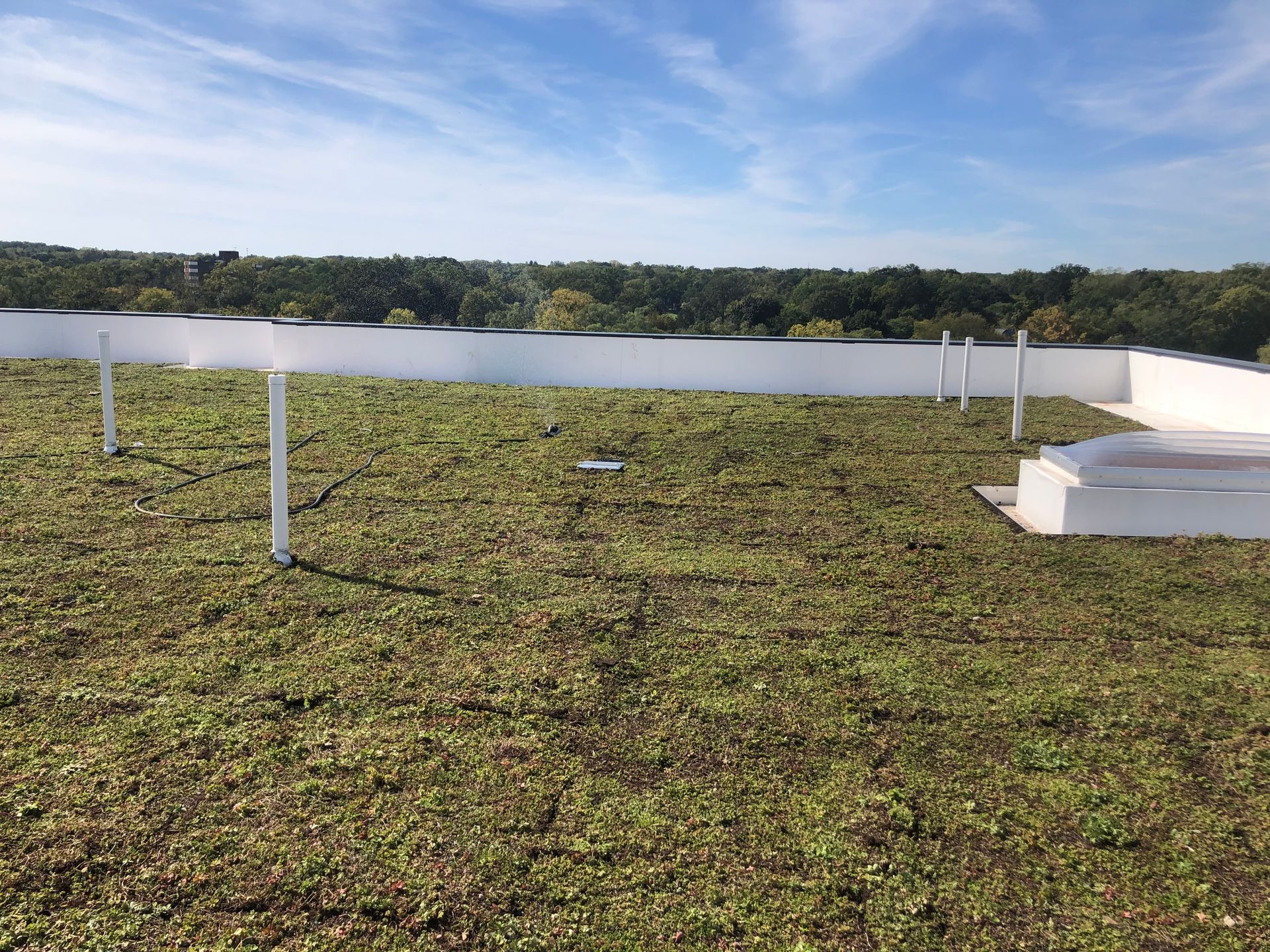 GREEN ROOFS