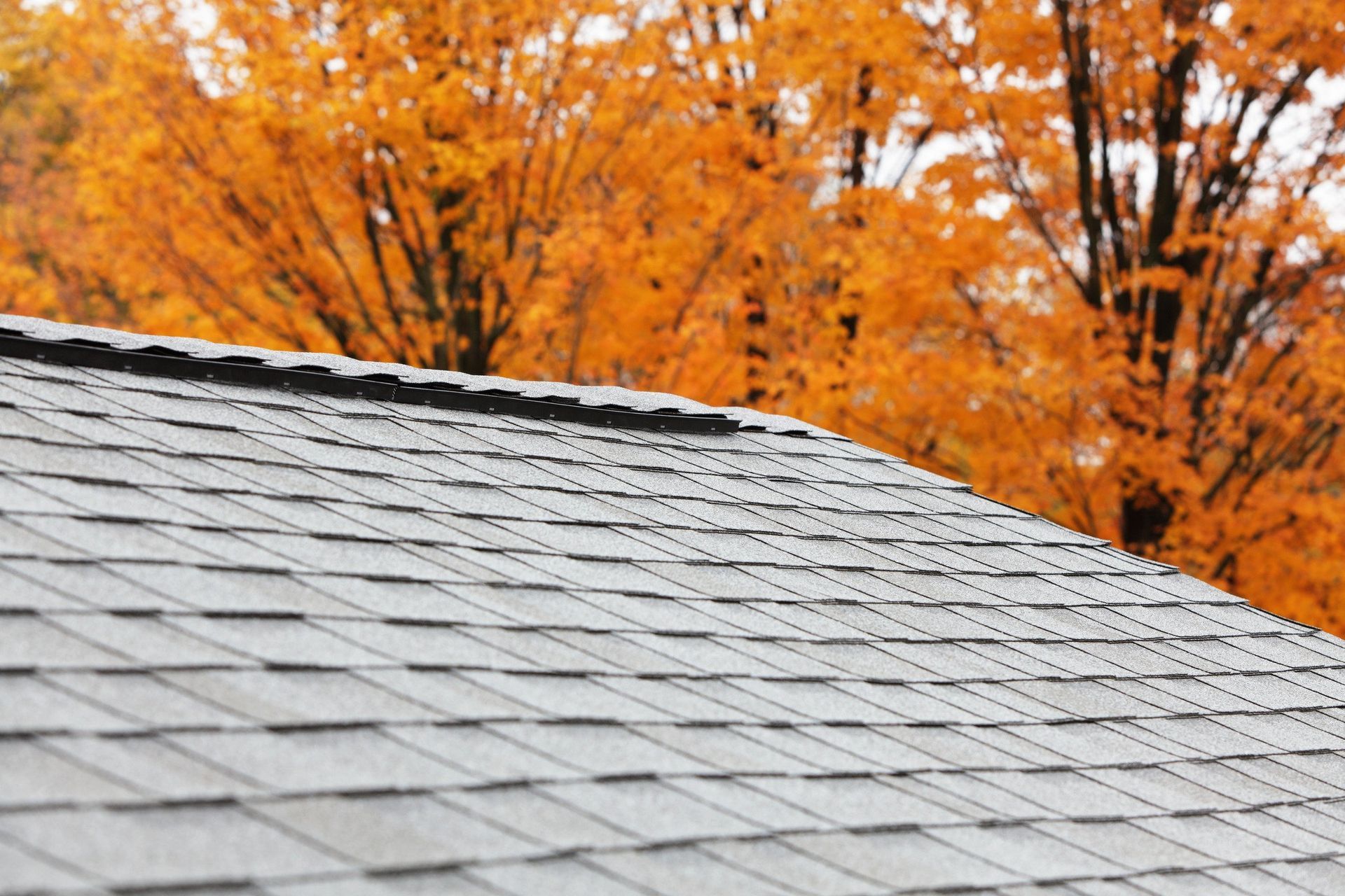 A close up of a roof with trees in the background.
