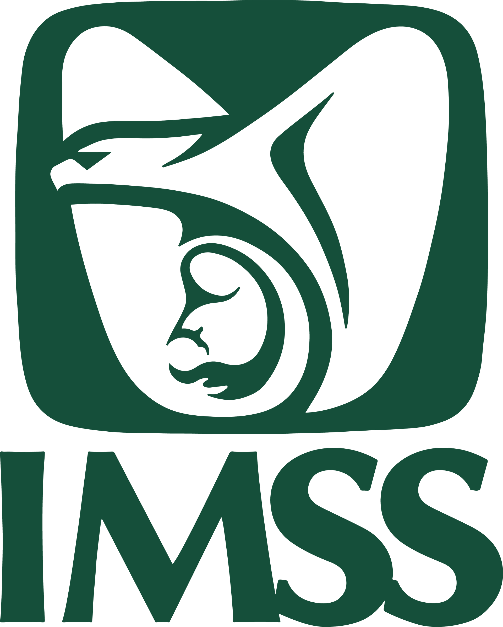 Logotipo IMSS