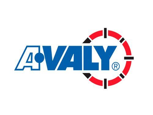 Un logotipo para una empresa llamada avaly con un objetivo en el medio.