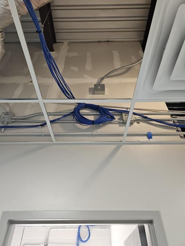Ceiling view: blue network cables and metal conduit in ceiling grid, above a doorway and white walls.