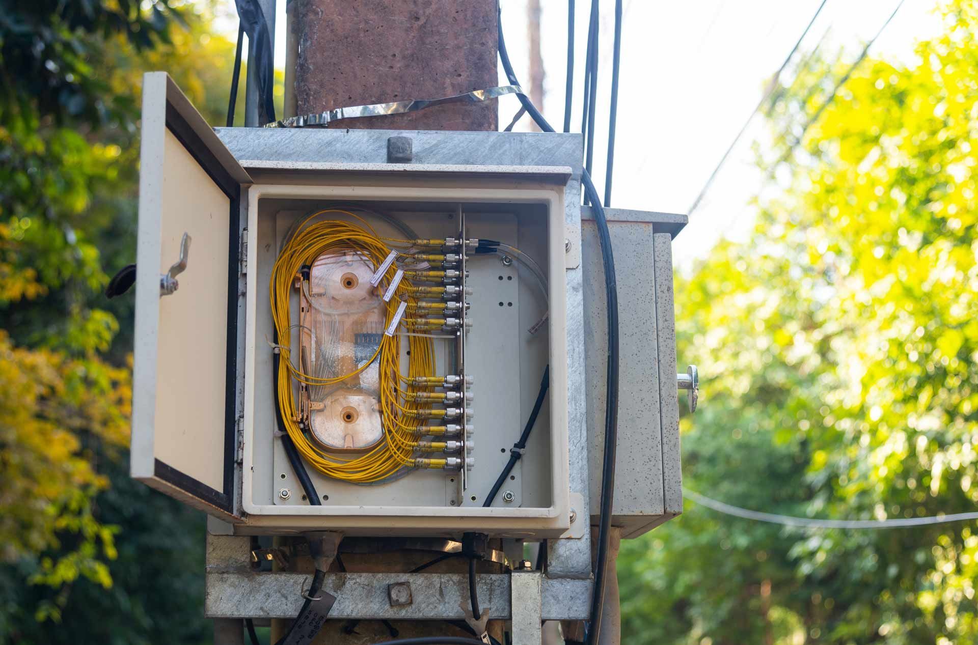 Open utility box on a pole, containing yellow fiber optic cables and wiring. Green foliage in background.