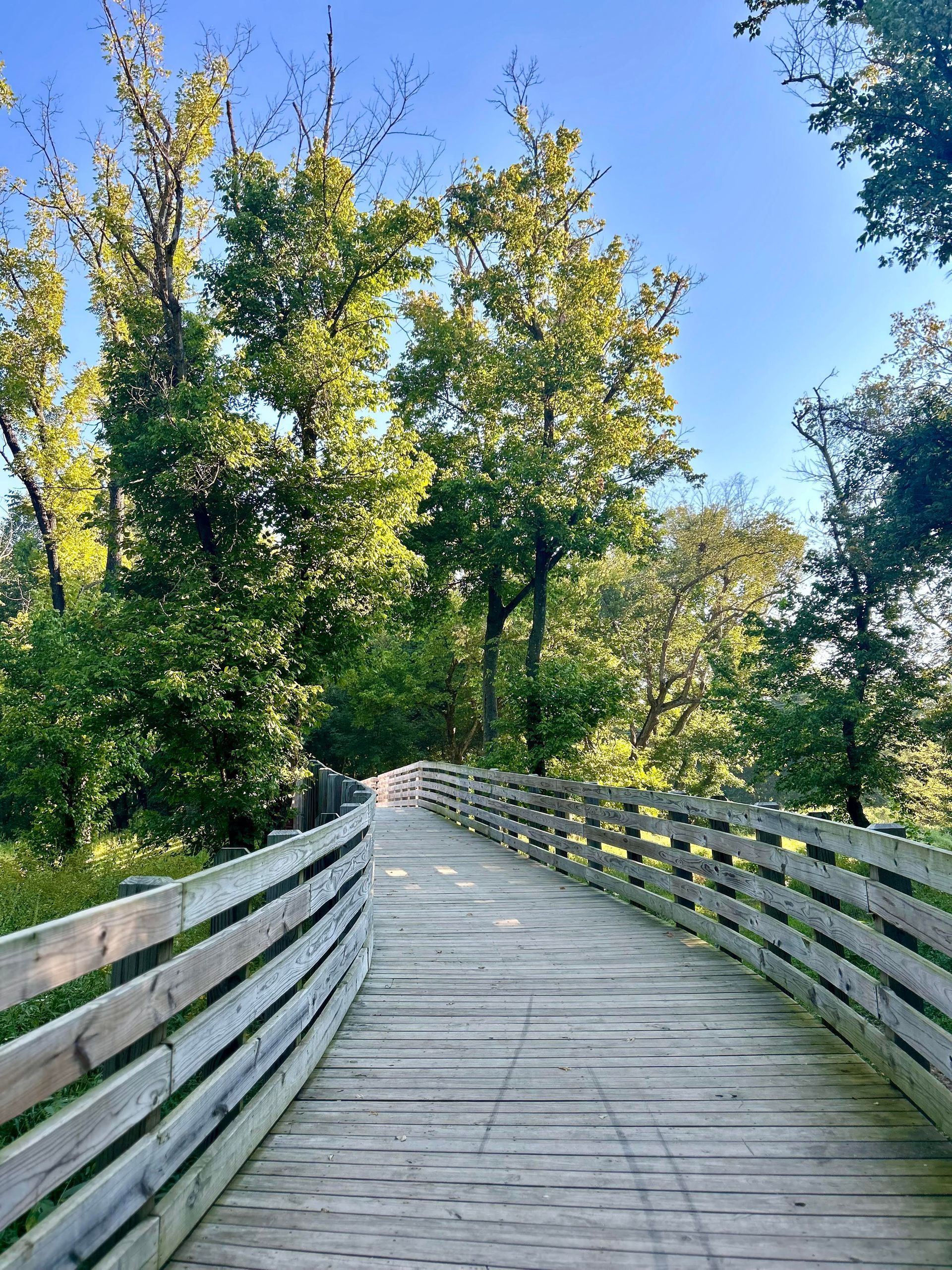 A wooden bridge going through a forest with trees on both sides.