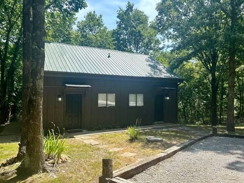 A small house with a metal roof is surrounded by trees.