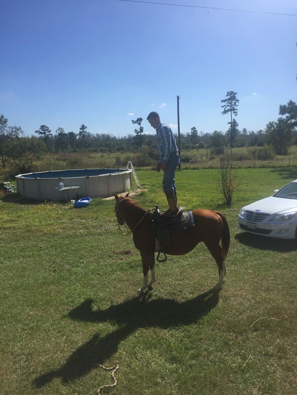 Person standing on a horse in a grassy field beside a white car and small round pool under a blue sky