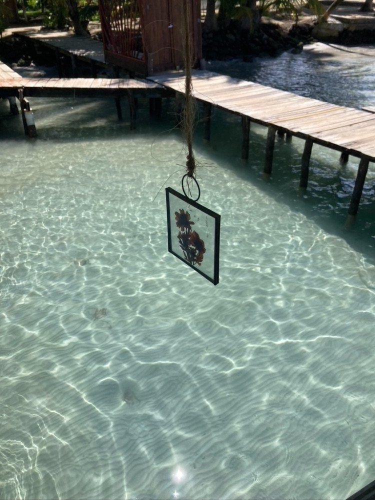 A picture frame is hanging over a body of water.