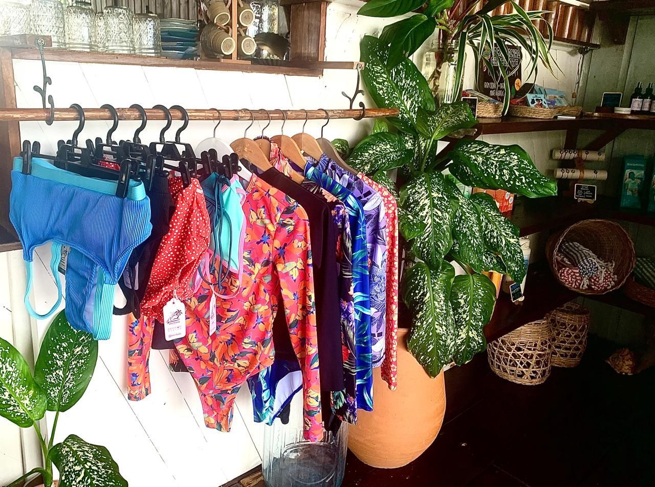 Colorful clothes hanging on a rack beside a large potted plant in a home interior