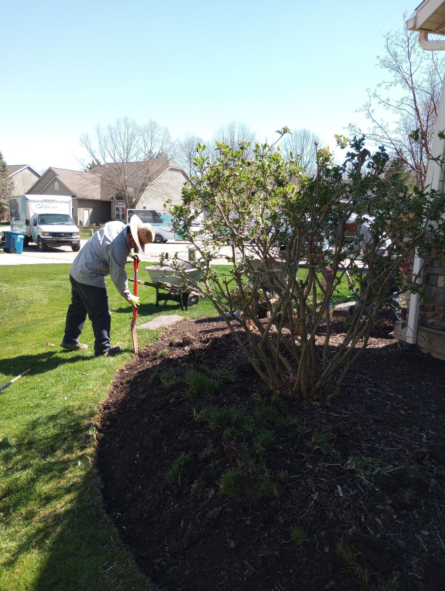 Person working in a sunny yard with a shovel near bushes and a lawn