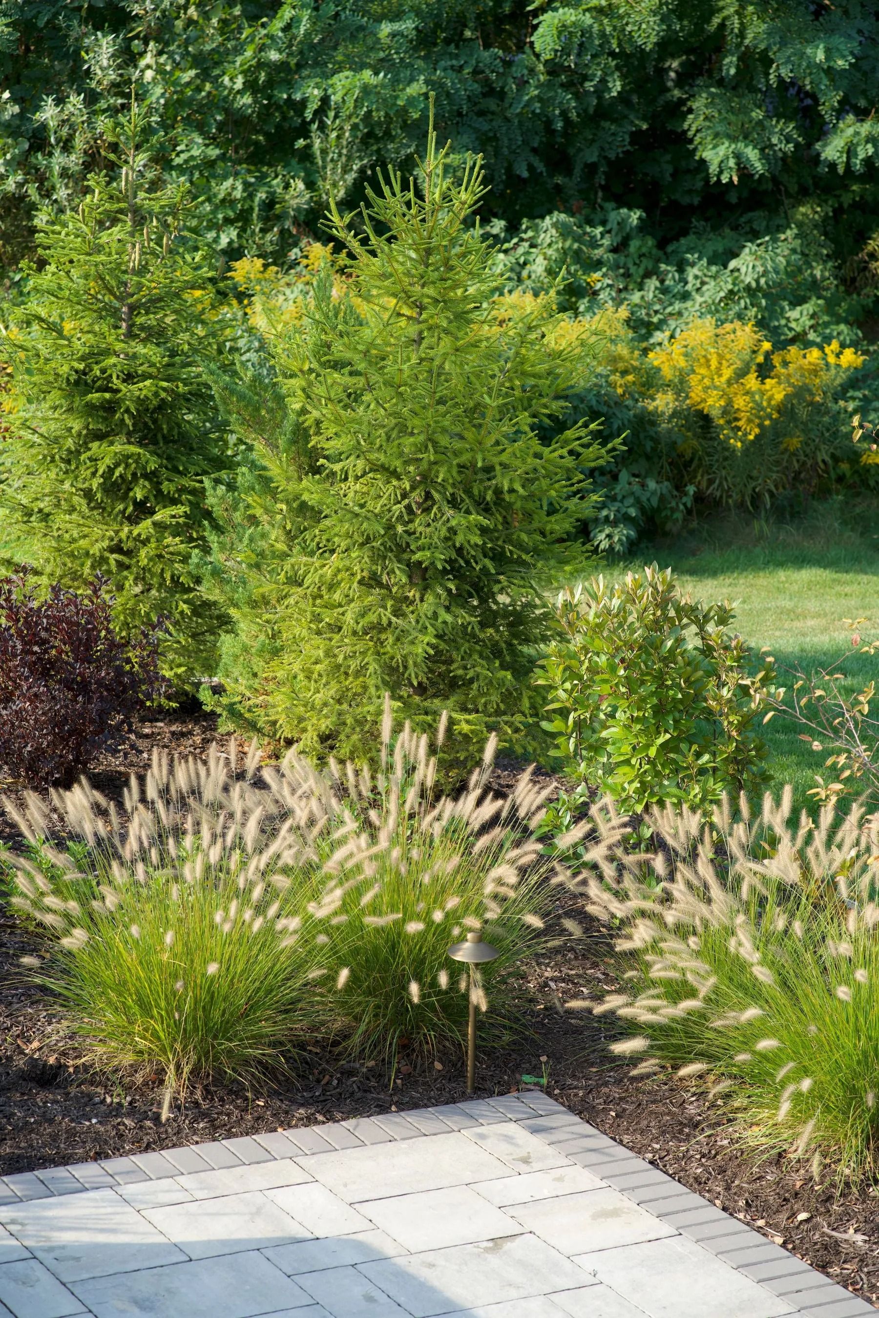 Garden bed with green trees, ornamental grasses, and brick patio.