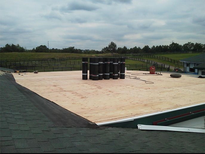 Flat Roof Gallery
