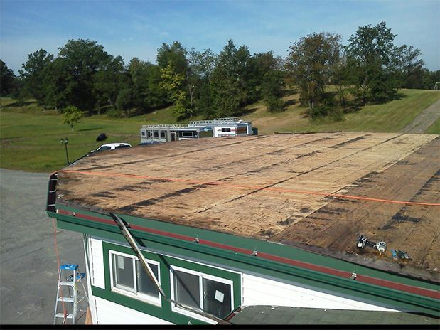 Flat Roof Gallery
