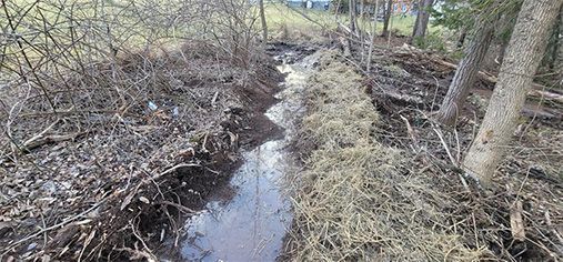 Swale Excavation