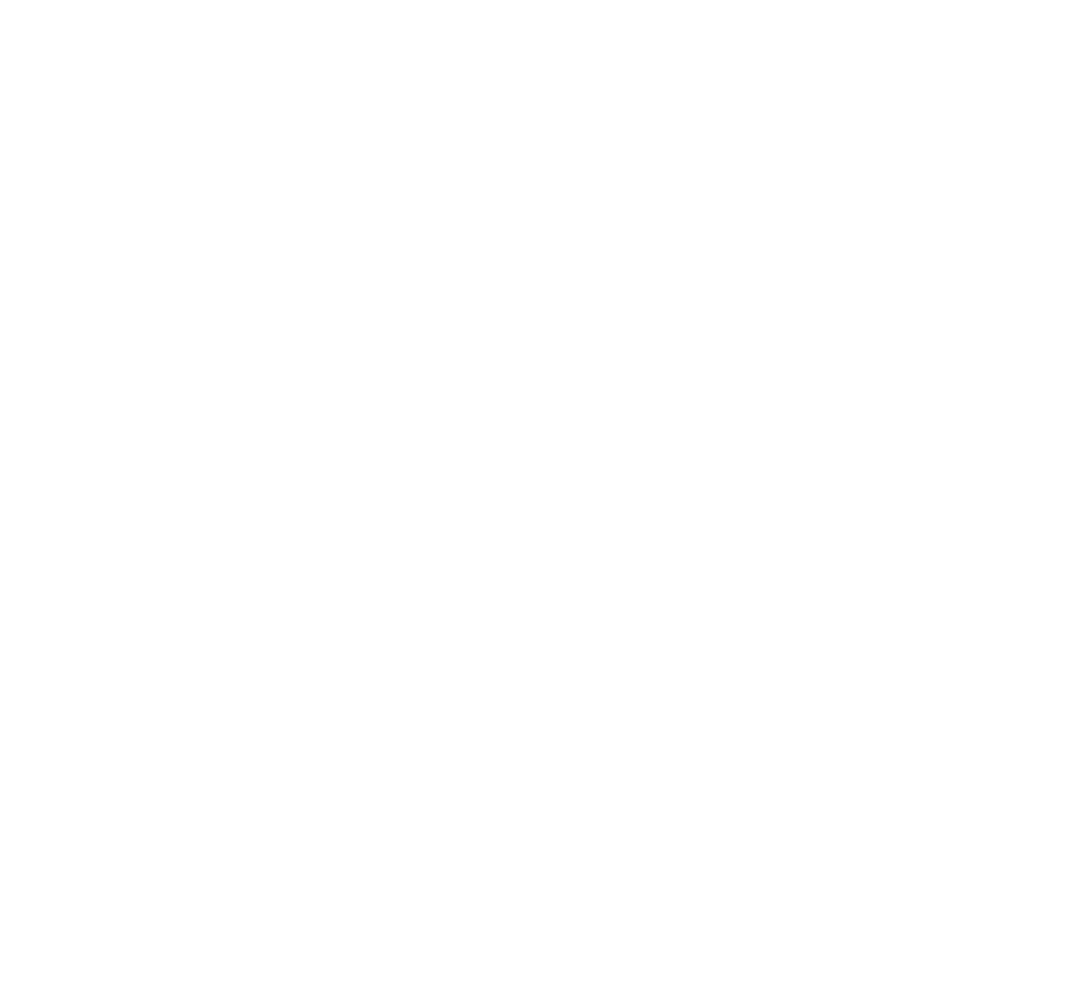 Finesse Logo