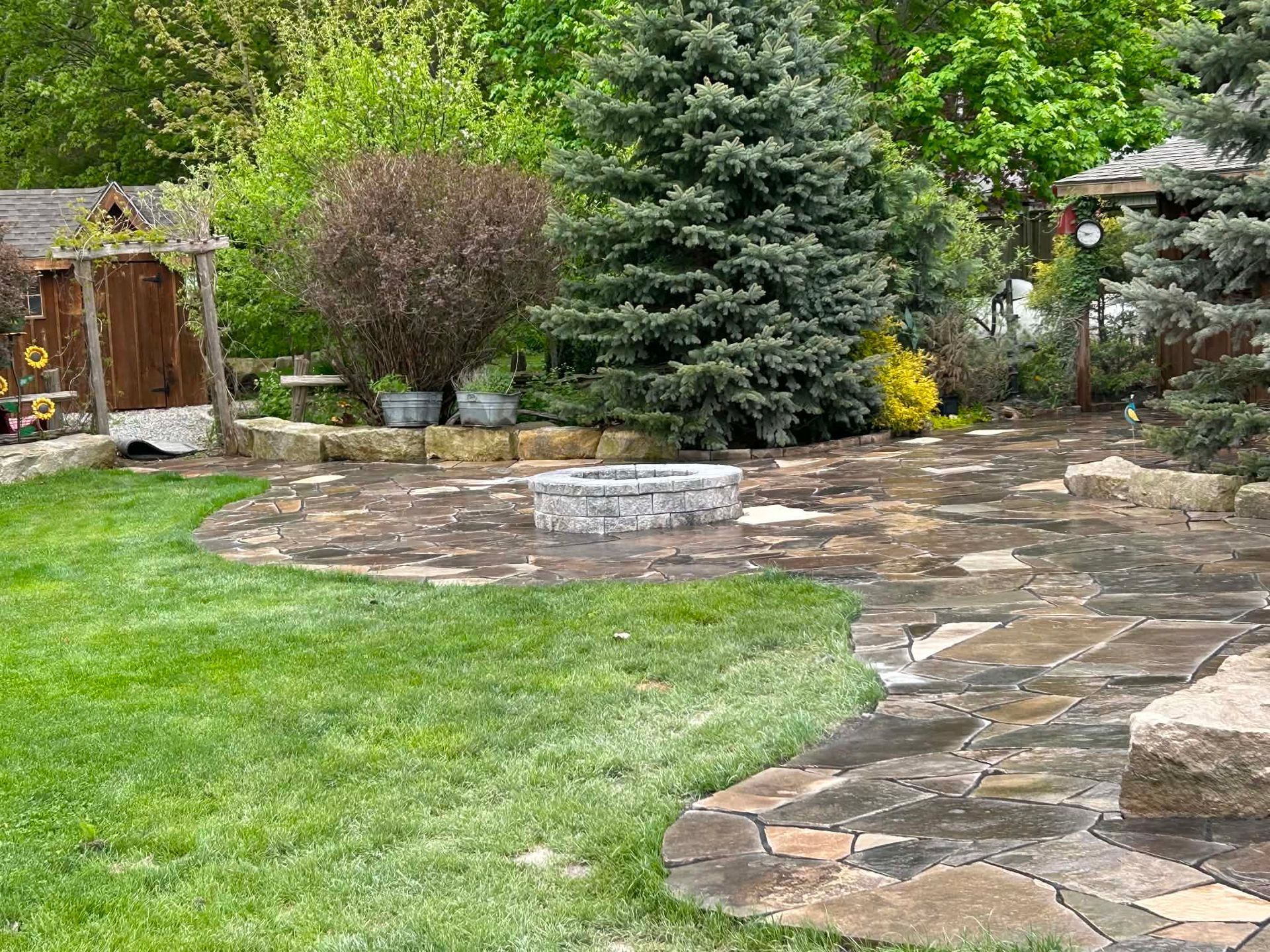 Backyard stone patio, fire pit, and lawn with a large evergreen tree and garden plants