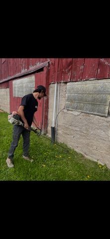 Person trimming grass near a building