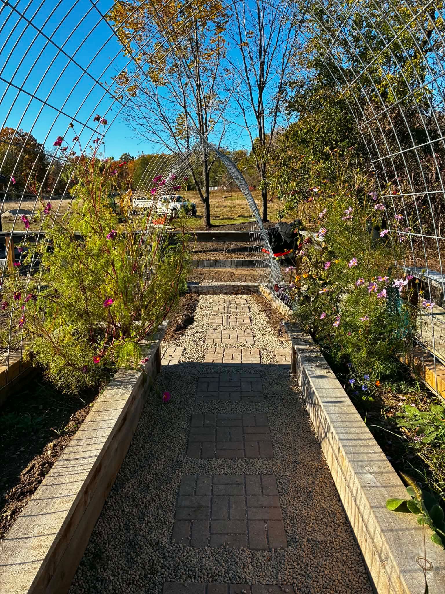 Stone path in a garden walkway lined with flowers, under a blue sky
