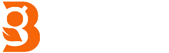 The letter b is orange and white on a white background.