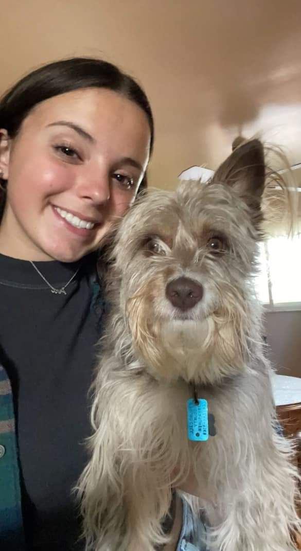 Dog Boarding Kennel Butler, PA Whispering Winds Boarding Kennel