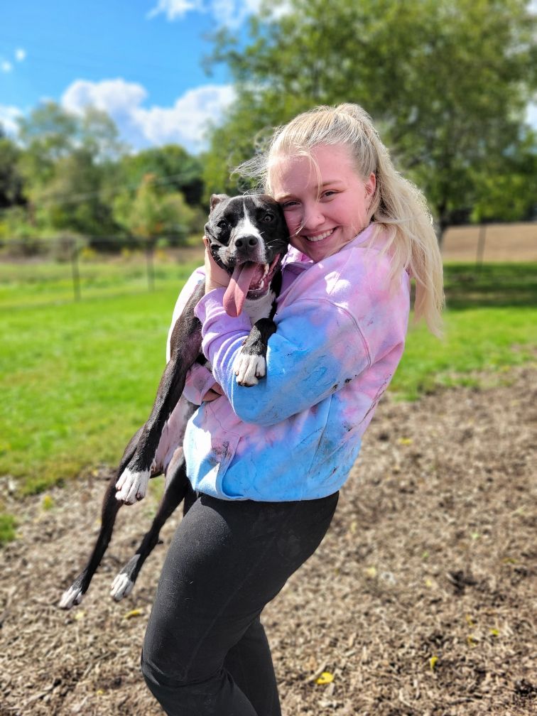 Dog Boarding Kennel Butler, PA Whispering Winds Boarding Kennel