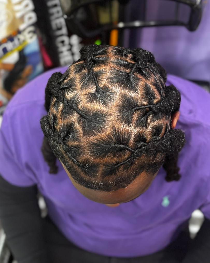 Close-up of a person's head with a braided hairstyle. The braids form a geometric pattern across the scalp.