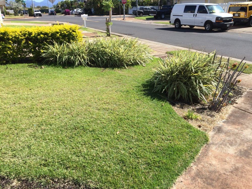 Outdoor Backyard — Honolulu, HI — Gonzalez Maintenance