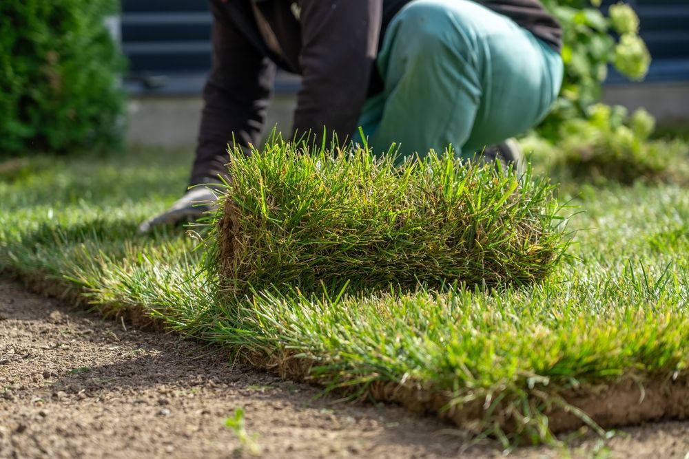 A person is laying a roll of grass on the ground.