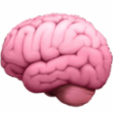 Pink human brain illustration on a white background