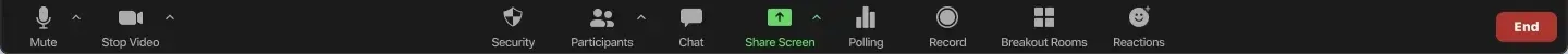 Dark video conferencing toolbar with icons and a red 