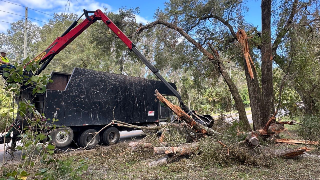 Red crane loading tree debris into a black dump truck in a wooded area after storm cleanup