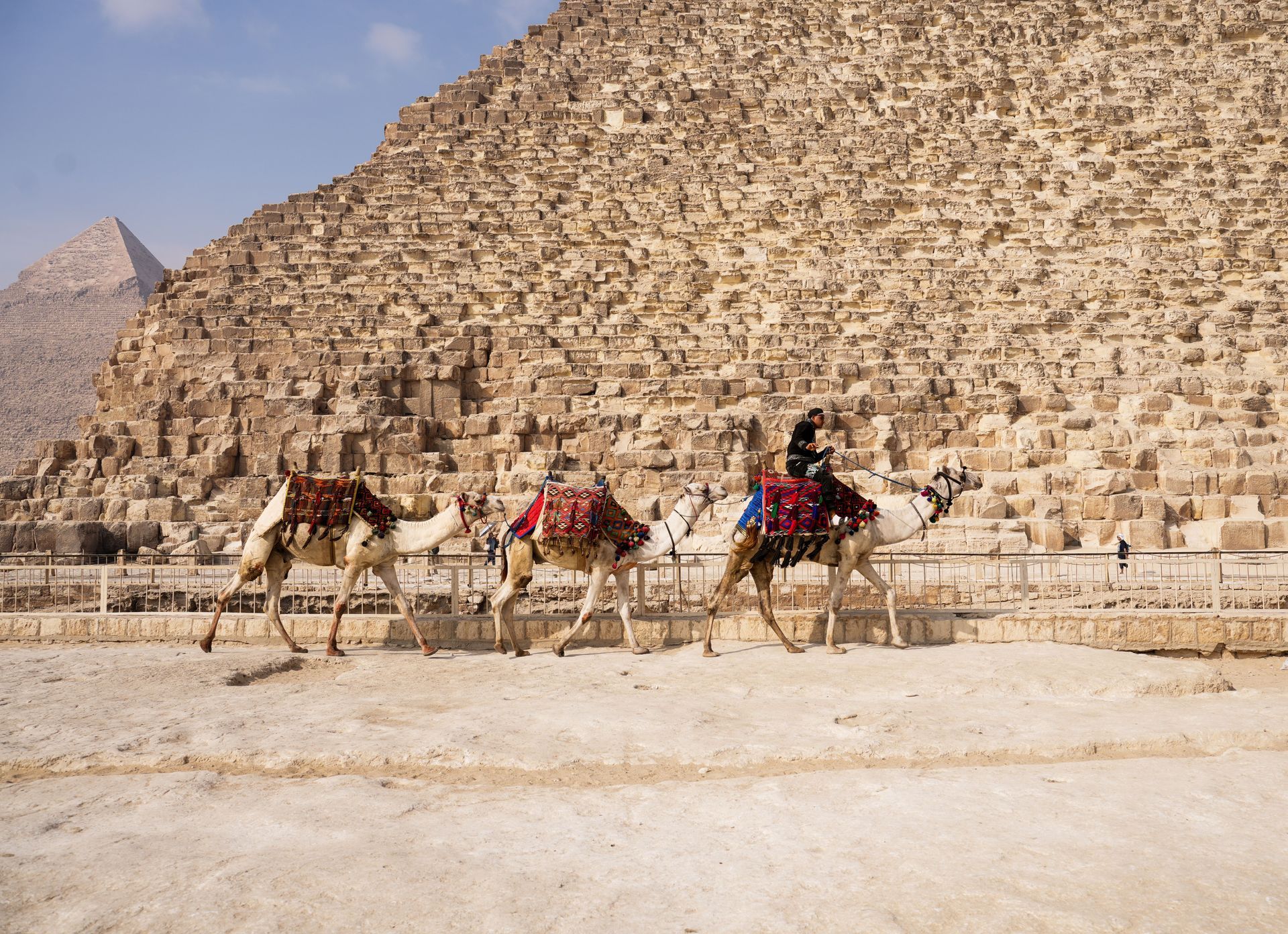 Giza Pyramids Camel Ride